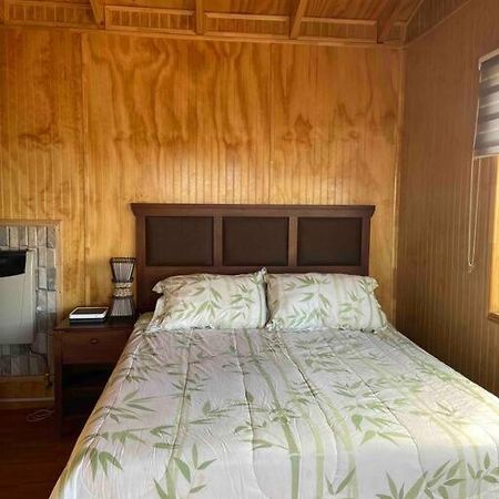 Appartamento Depto Huerto 23 Puerto Natales Esterno foto